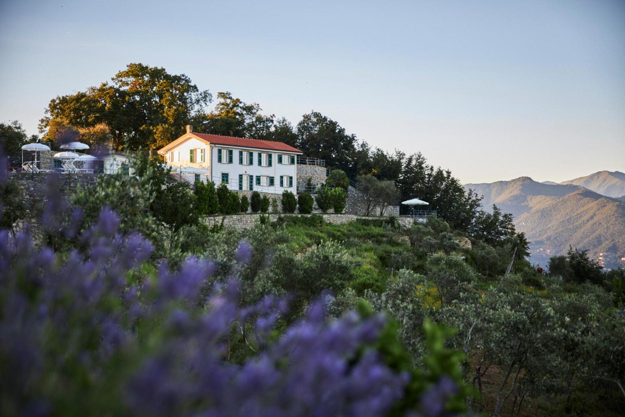 Il Leccio - Luxury Resort Portofino Monte Santa Margherita Ligure Extérieur photo