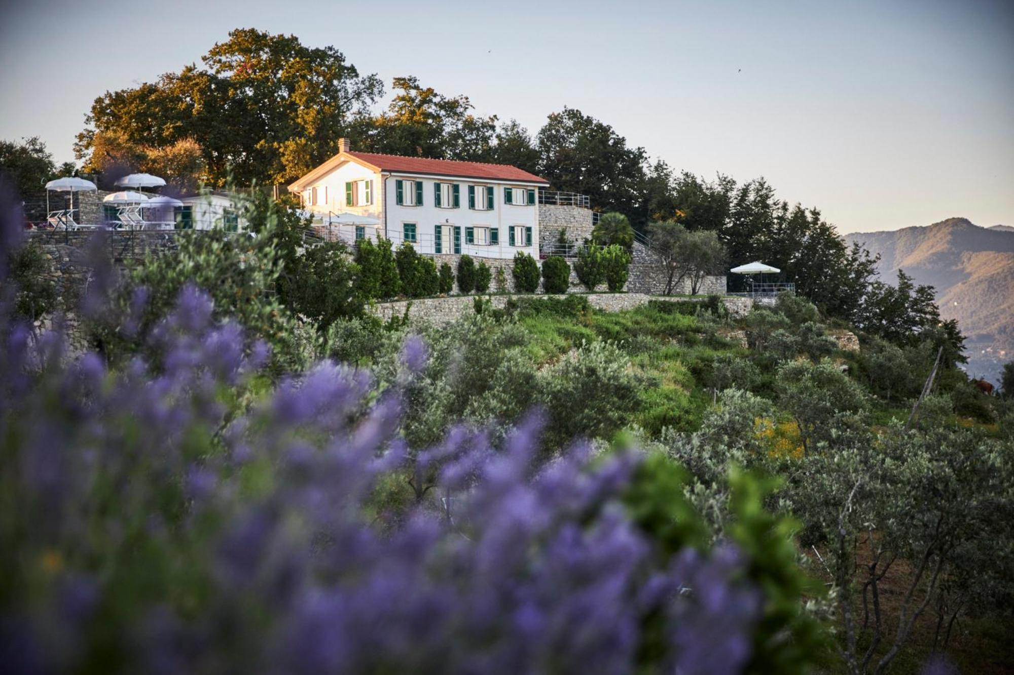 Il Leccio - Luxury Resort Portofino Monte Santa Margherita Ligure Extérieur photo