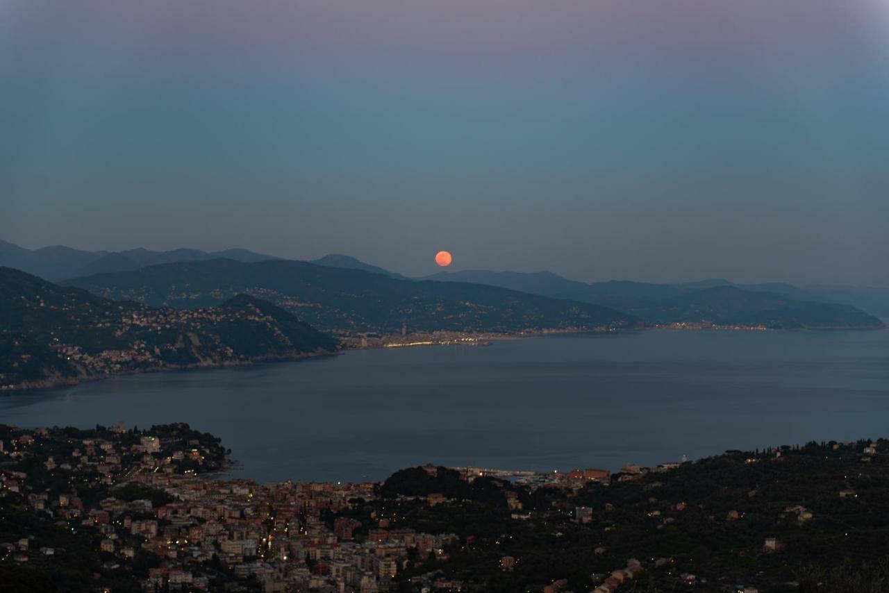 Il Leccio - Luxury Resort Portofino Monte Santa Margherita Ligure Extérieur photo